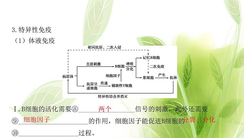 新人教版高中生物选择性必修第一册第4章免疫调节章末总结课件06