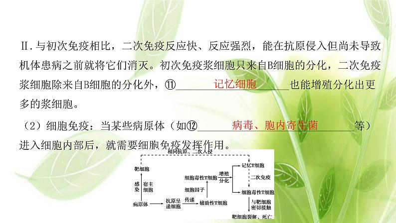 新人教版高中生物选择性必修第一册第4章免疫调节章末总结课件07