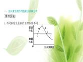 新人教版高中生物选择性必修第一册第5章植物生命活动的调节微专题3生长素生理作用的相关曲线分析及植物激素相关实验课件