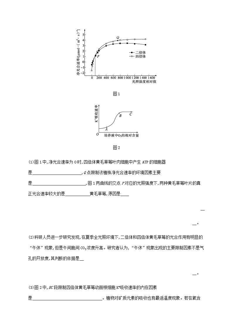 新教材高考生物二轮复习大题分析与表达练1细胞代谢类大题突破含解析第3页