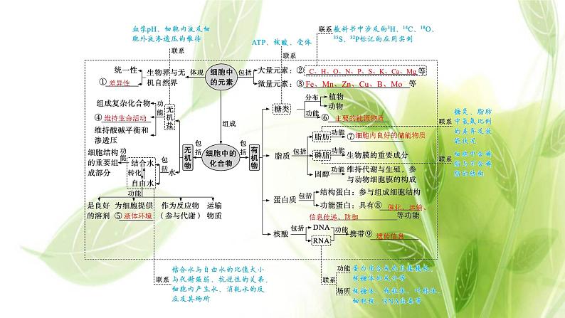 新教材高考生物二轮复习专题一第1讲细胞的分子基础课件第4页