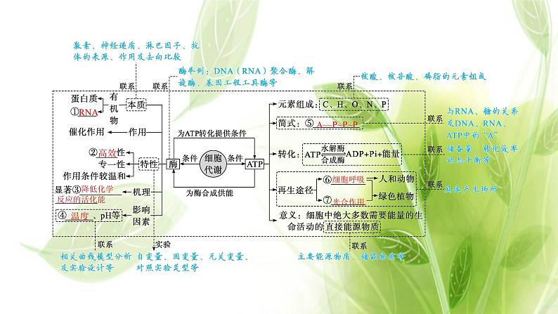 新教材高考生物二轮复习专题二第1讲酶和ATP课件04