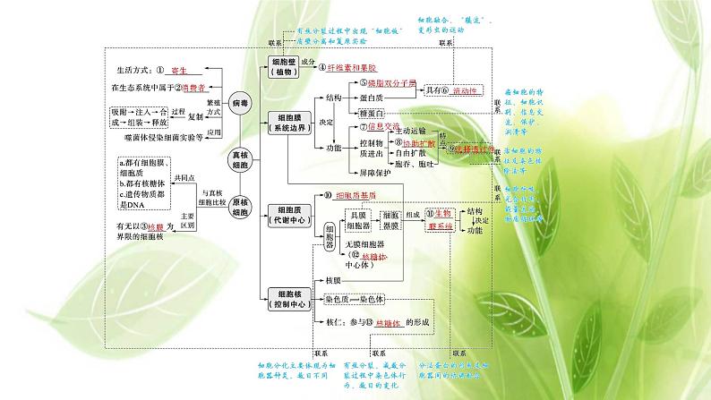 新教材高考生物二轮复习专题一第2讲细胞的结构基础与物质运输课件第4页