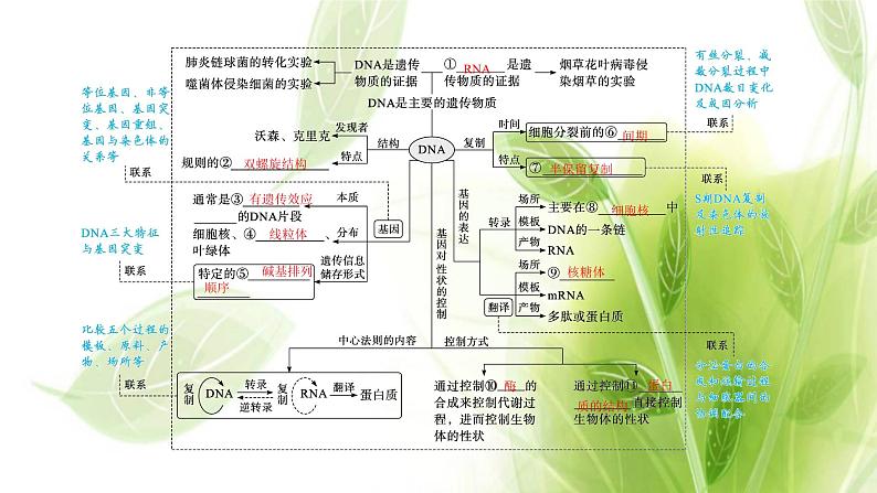 新教材高考生物二轮复习专题五遗传的分子基础课件04