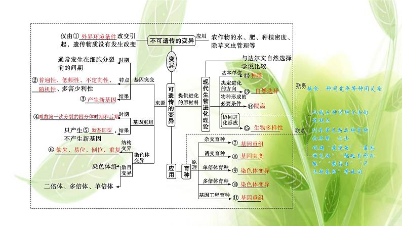 新教材高考生物二轮复习专题六生物变异育种与进化课件04