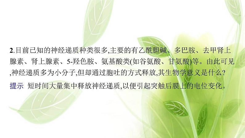 新教材高考生物二轮复习专题七第1讲动物和人体生命活动的调节课件第7页