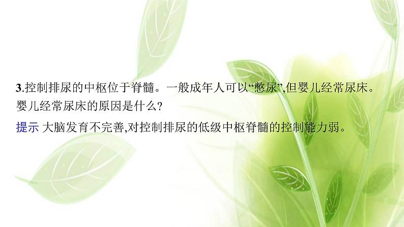 新教材高考生物二轮复习专题七第1讲动物和人体生命活动的调节课件第8页