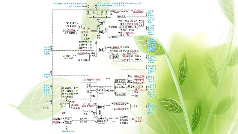 新教材高考生物二轮复习专题八生物与环境课件04