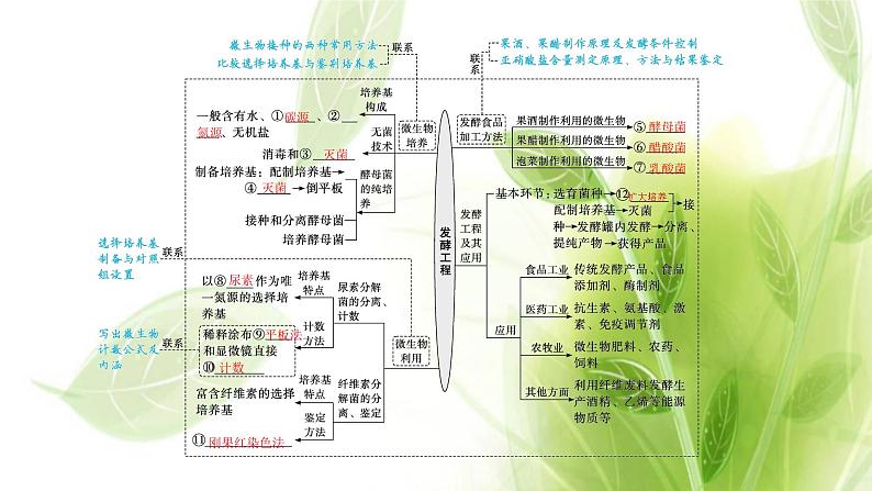 新教材高考生物二轮复习专题九发酵工程课件第4页