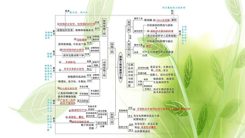 新教材高考生物二轮复习专题十细胞工程和基因工程课件第4页