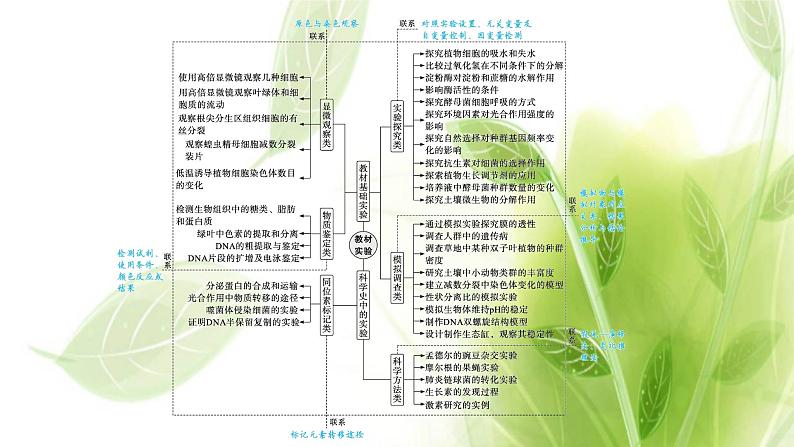 新教材高考生物二轮复习专题十一实验与探究课件第4页