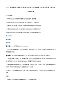 2022届安徽省芜湖一中皖南八校高三下学期第三次联考试题（4月）生物试题含解析