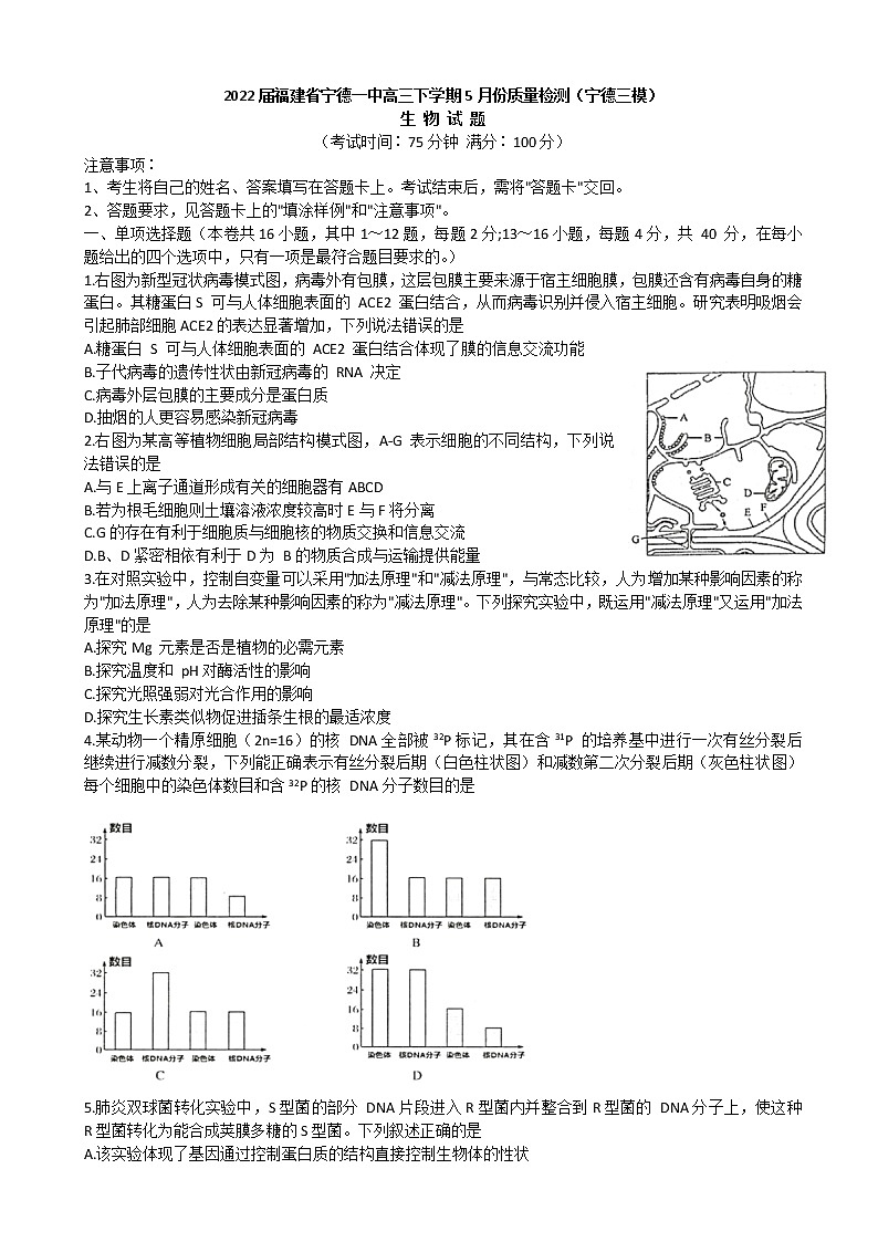 2022届福建省宁德一中高三下学期5月份质量检测（宁德三模）生物试题含答案01