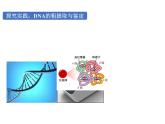 3.1.2重组DNA技术的基本工具课件2021-2022学年高二下学期生物人教版选择性必修3