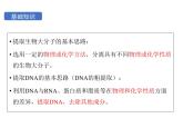 3.1.2重组DNA技术的基本工具课件2021-2022学年高二下学期生物人教版选择性必修3