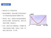 3.1.2重组DNA技术的基本工具课件2021-2022学年高二下学期生物人教版选择性必修3