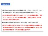 3.1.2重组DNA技术的基本工具课件2021-2022学年高二下学期生物人教版选择性必修3