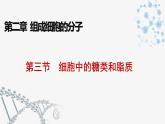 2.3细胞中的糖类和脂质课件2021-2022学年高一上学期生物人教版必修1