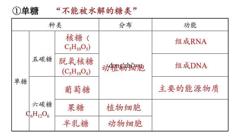 2.3细胞中的糖类和脂质课件2021-2022学年高一上学期生物人教版必修1第5页