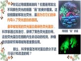 3.4蛋白质工程的原理和应用课件2021-2022学年高二下学期生物人教版选择性必修3
