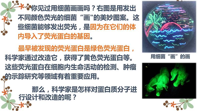 3.4蛋白质工程的原理和应用课件2021-2022学年高二下学期生物人教版选择性必修3第2页