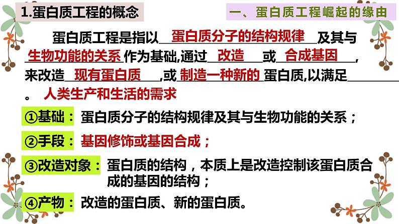 3.4蛋白质工程的原理和应用课件2021-2022学年高二下学期生物人教版选择性必修3第3页