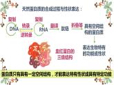 3.4蛋白质工程的原理和应用课件2021-2022学年高二下学期生物人教版选择性必修3