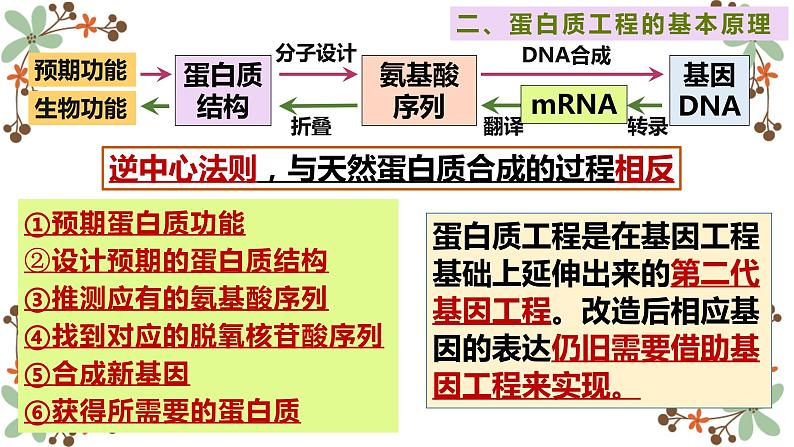 3.4蛋白质工程的原理和应用课件2021-2022学年高二下学期生物人教版选择性必修3第8页