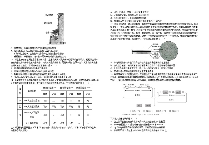 2022届湖北省襄阳市第五中学高三一模生物试题及答案03