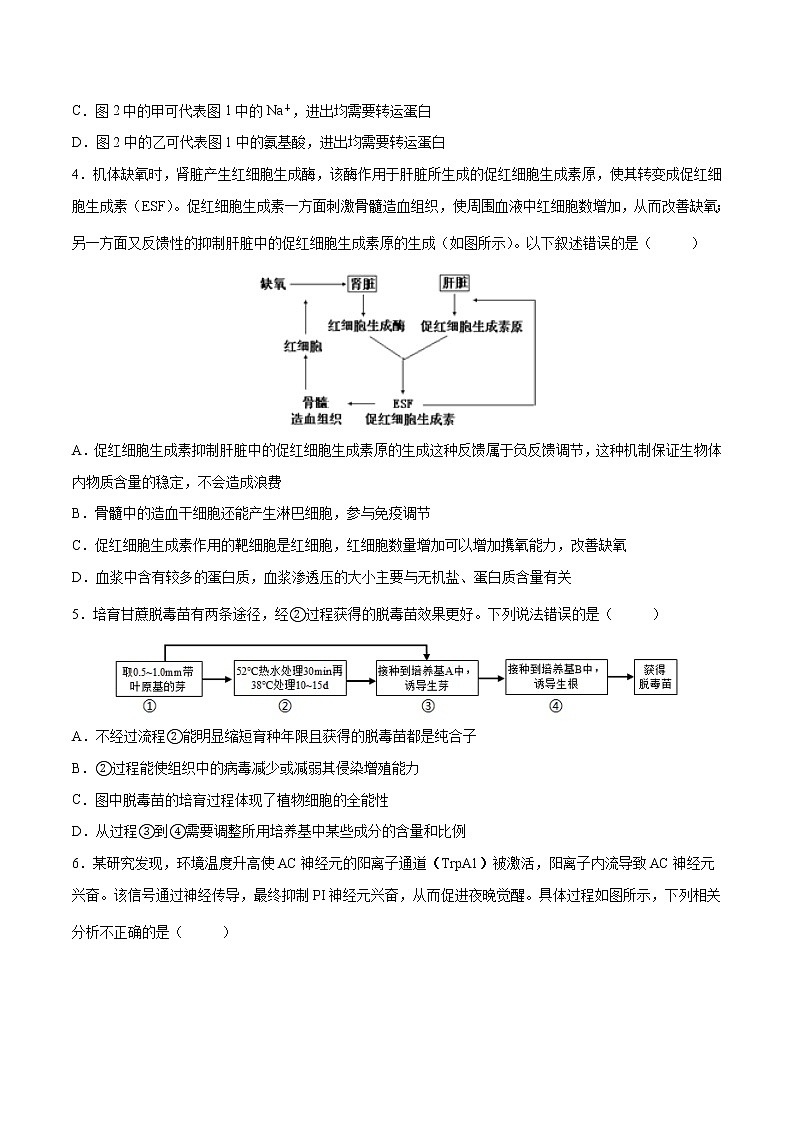 生物-2022年高考考前押题密卷（江苏卷）（A4考试版）02