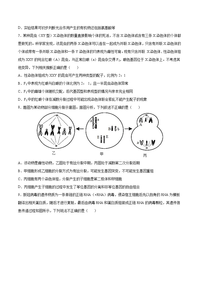 生物-2022年高考考前押题密卷（重庆卷）（A4考试版）03