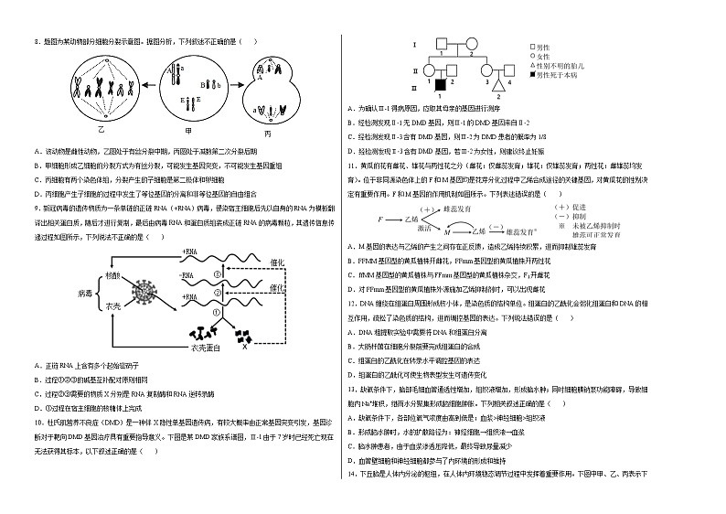 生物-2022年高考考前押题密卷（重庆卷）（A3考试版）第2页