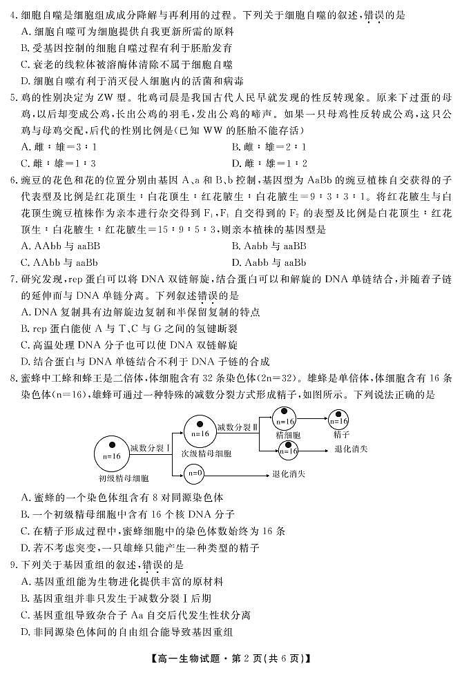 2021湖南省五市十校教研教改共同体高一下学期期末考试生物试题PDF版含答案02