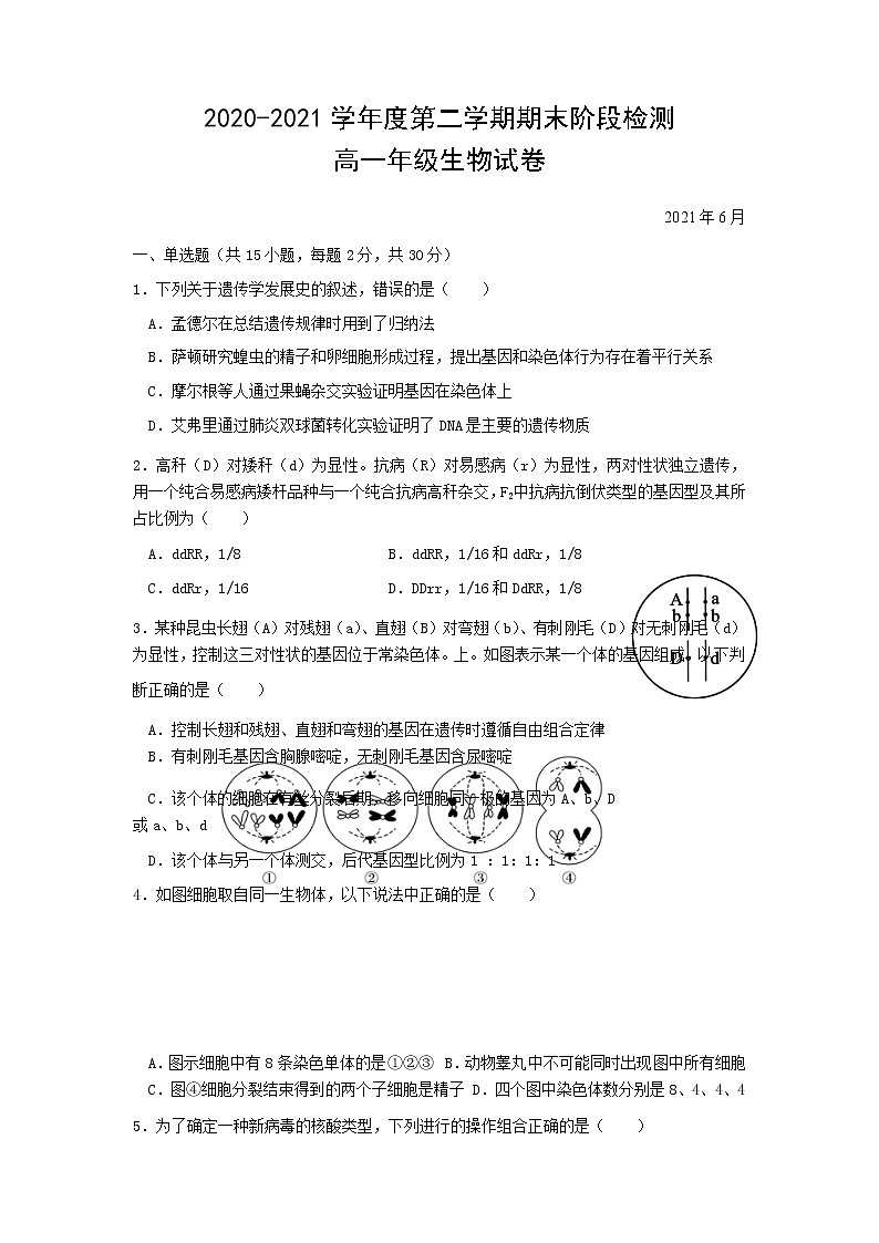 2021常州新桥高级中学高一下学期期末阶段检测生物试题含答案01