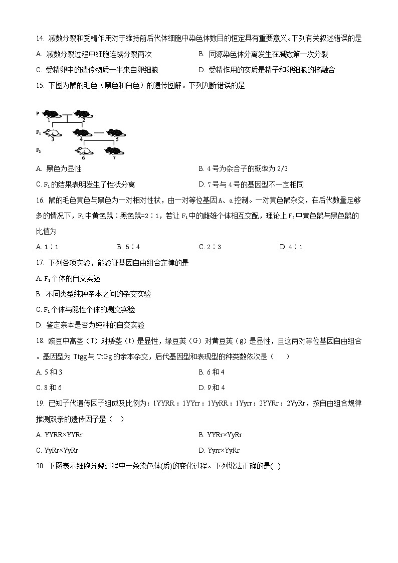 2021盐城高一下学期期末考试生物试题含答案03