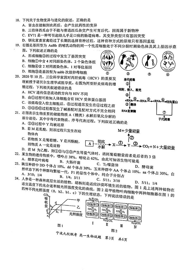 2021宁波九校高一下学期期末考试生物试题图片版含答案03