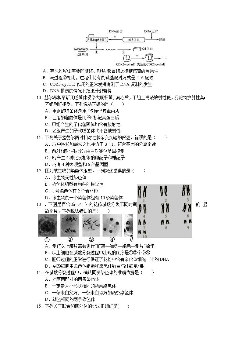 2021长治二中校高一下学期期末考试生物试卷含答案03