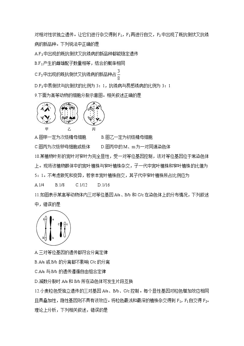 2021南阳高一下学期期中考试生物含答案第3页