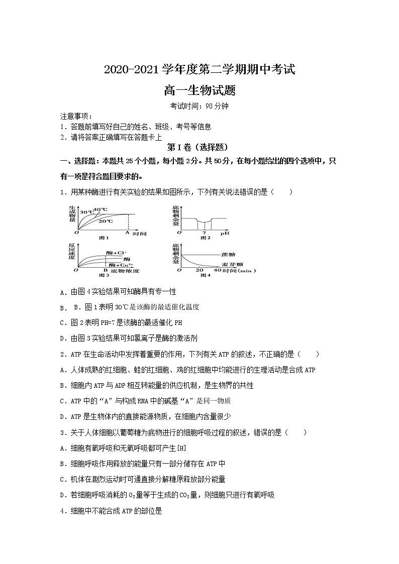 2021淮北树人高级中学高一下学期期中考试生物试卷含答案01