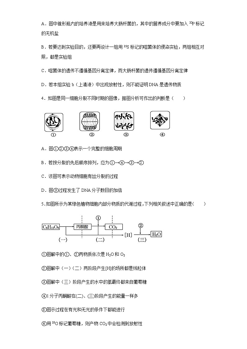 2021驻马店新蔡县一中高一下学期5月半月考生物试题含答案第2页