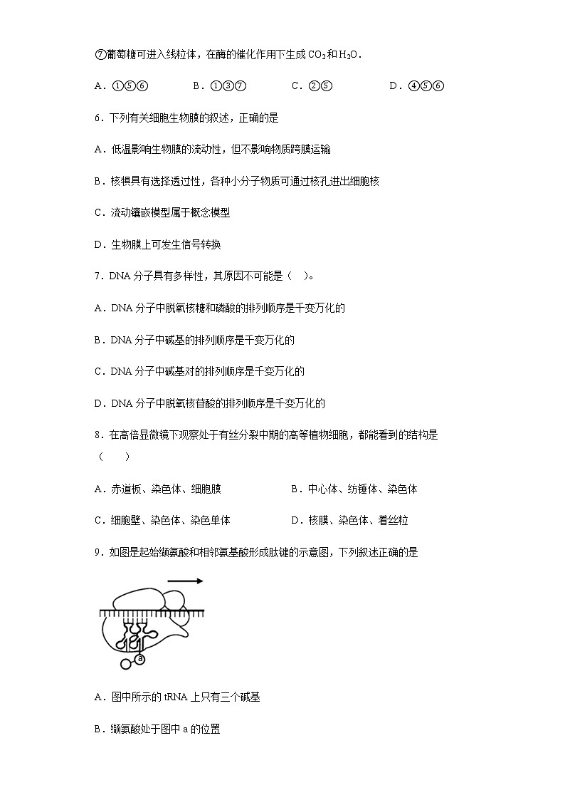 2021驻马店新蔡县一中高一下学期5月半月考生物试题含答案第3页