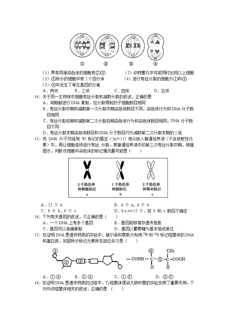 2021河南省正阳县高中高一下学期第三次素质检测生物试卷含答案第3页