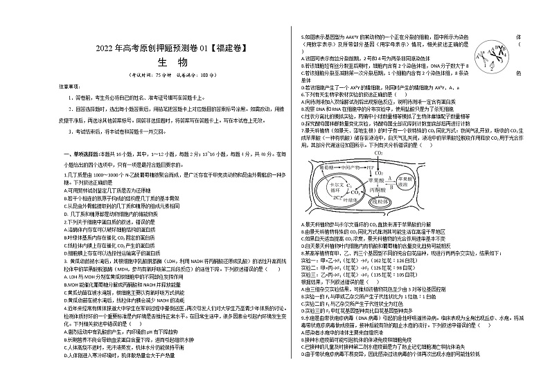 2022年高考押题预测卷01（福建卷）-生物（考试版）第1页