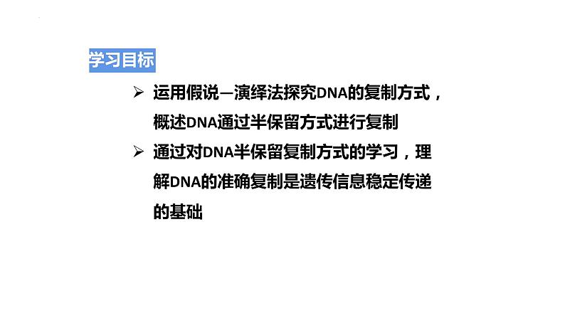 3.3DNA的复制 课件2021-2022学年高一下学期生物人教版必修2第2页