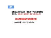3.3DNA的复制 课件2021-2022学年高一下学期生物人教版必修2
