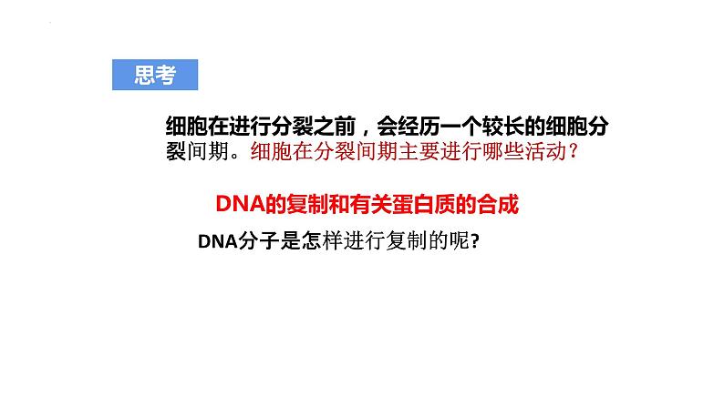 3.3DNA的复制 课件2021-2022学年高一下学期生物人教版必修2第3页