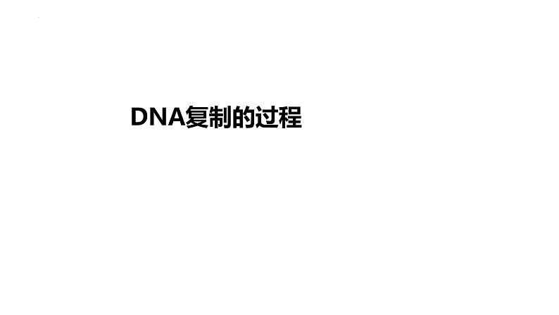 3.3DNA的复制 课件2021-2022学年高一下学期生物人教版必修2第4页