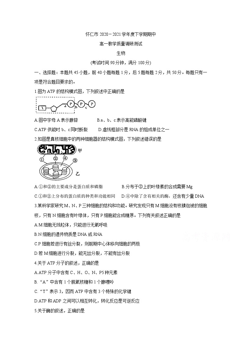 2021山西省怀仁市高一下学期期中考试生物含答案01