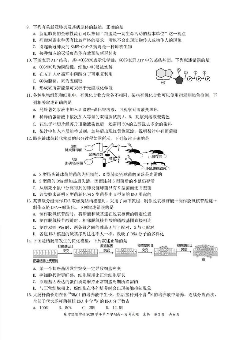 2020学年第二学期高一月考（5月）生物试题第2页