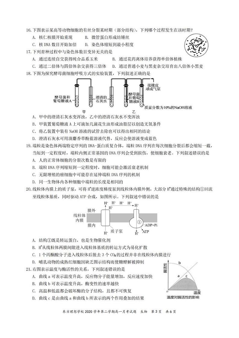 2020学年第二学期高一月考（5月）生物试题第3页